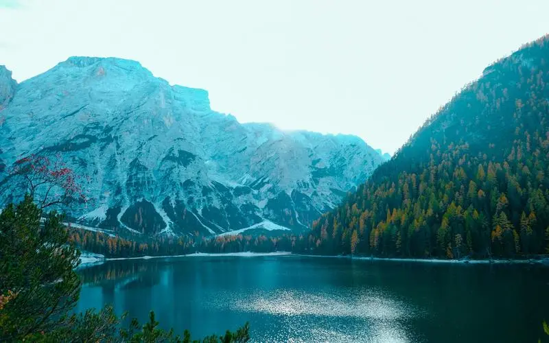 高端智能